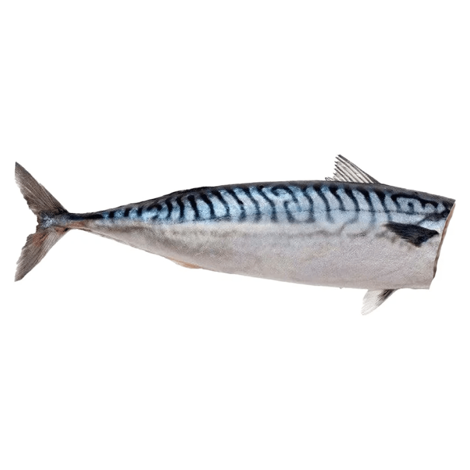 Скумбрия нежно подвяленная